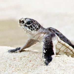 Meet your Posher, Kristine